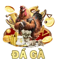 Đa dạng lựa chọn