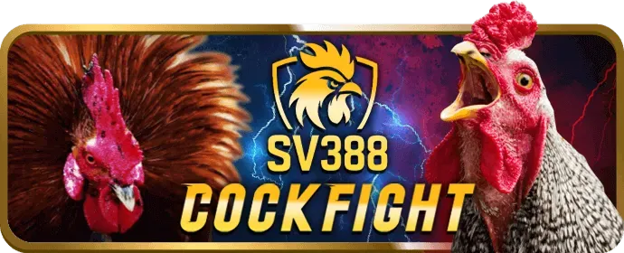 Cấp bậc VIP Đồng của 88net app